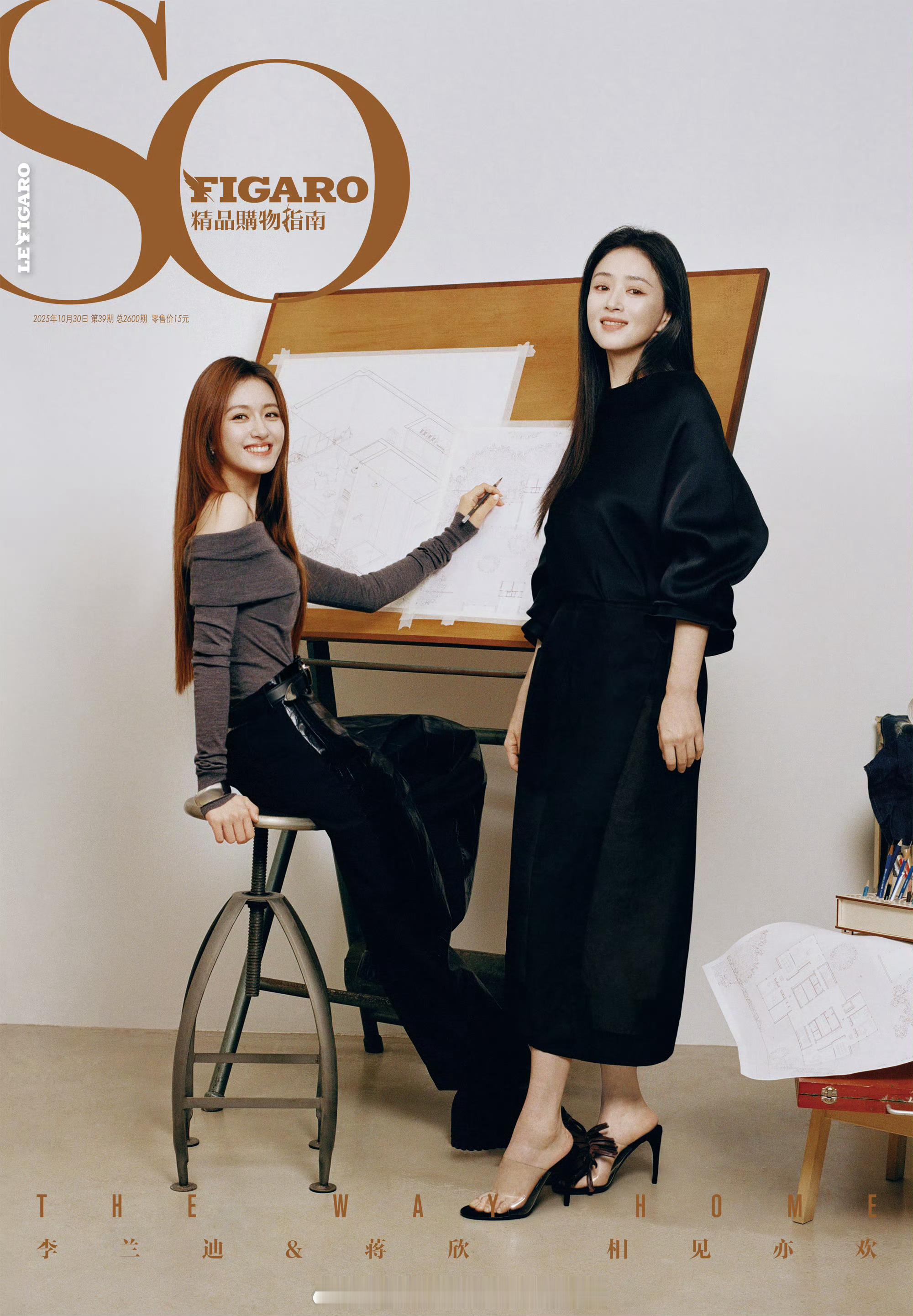 李兰迪蒋欣双人杂志大片，两人的气质好和，想出让她俩演姐妹的简直是天才！！[羞嗒嗒