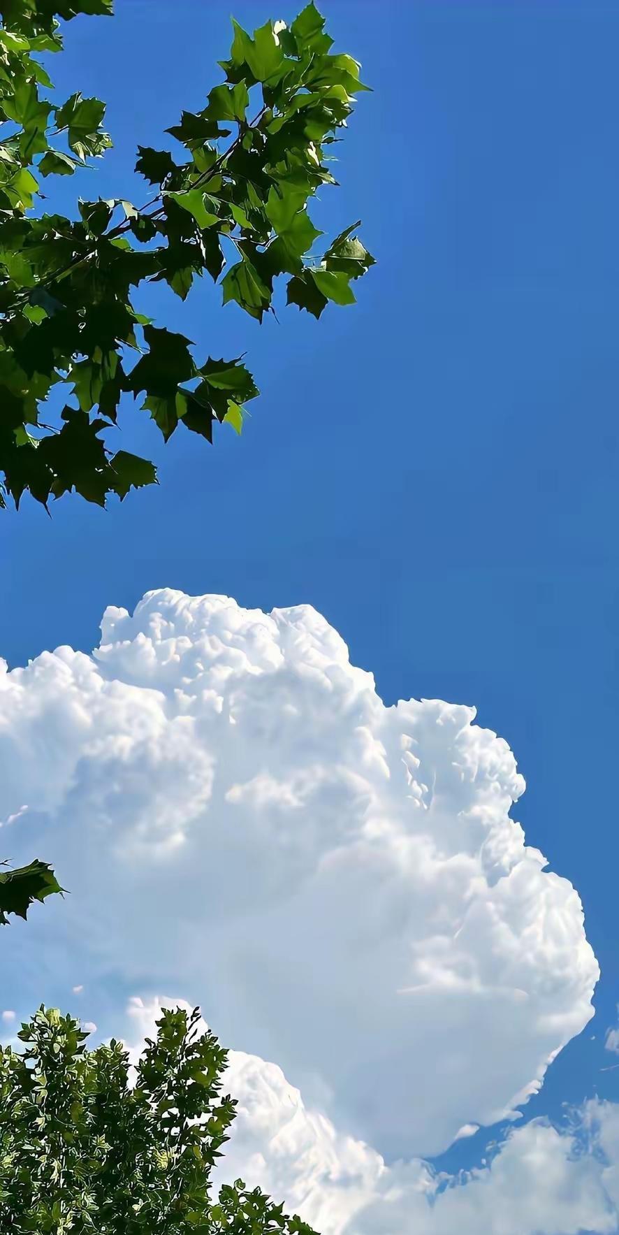 最有道理的一句话:“结不结婚都是一个人的事，所有婚姻不幸的人，都有一个...