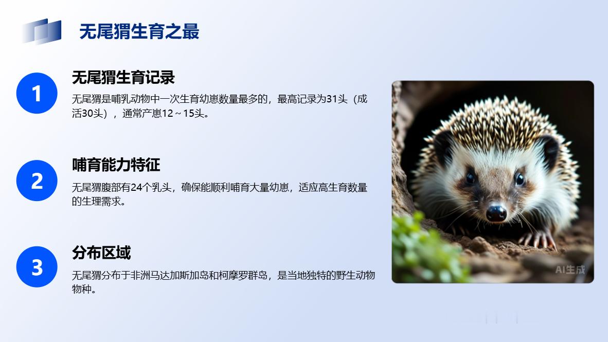 一次生育最多的哺乳动物无尾猬，一种分布于非洲马达加斯加岛和柯摩罗群岛上的哺乳动物