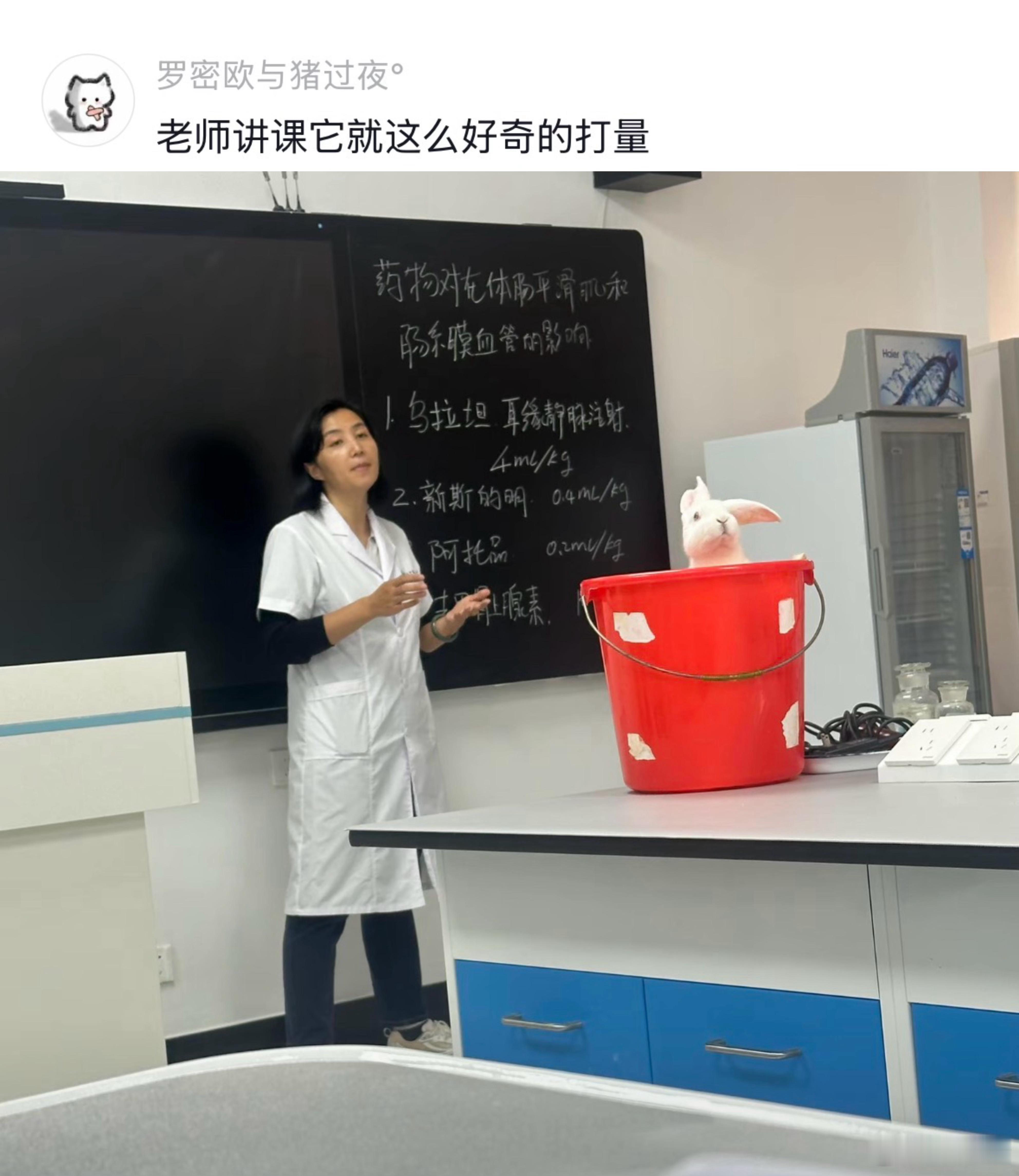 医学生第一课：不能公情
