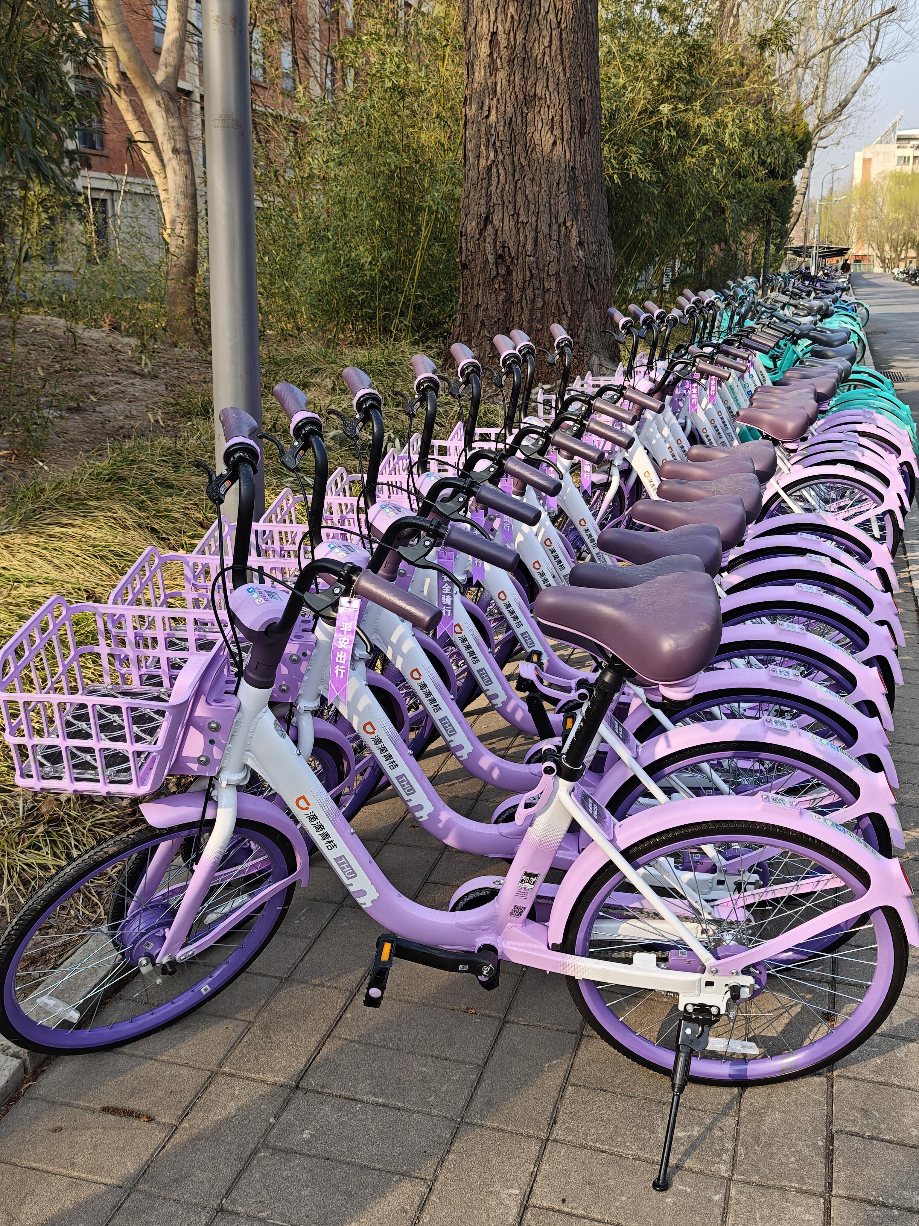 青桔啥时候出了这个色系的共享单车啊超级好看～