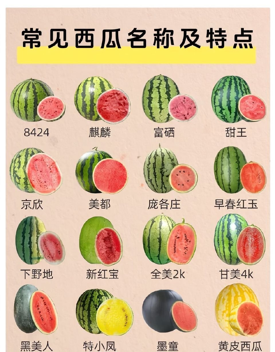 再进化下去西瓜皮要没有了啊啊啊啊这西瓜皮好薄啊！请问这是什么品种啊？想买，就爱这