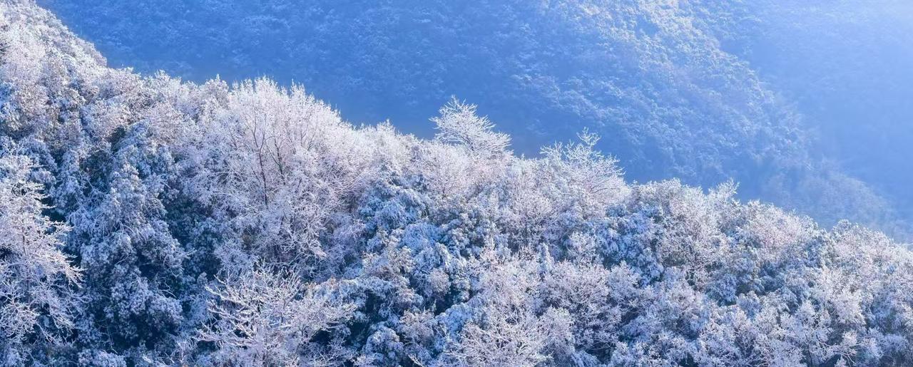 说一个让人崩溃的故事，直播听来的。有个女的，第一胎生了个女儿，婆婆来帮着带，