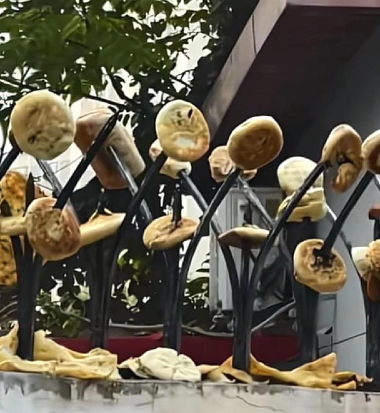 头一次遇到这样的事情天津一女子在逛街的时候，偶然间发现隔壁邻居在自家墙头上挂了