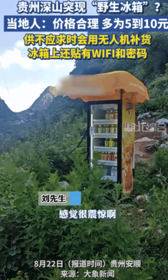 “销售鬼才！”贵州安顺，一探险爱好者在深山中居然发现了“野生冰箱”，震惊是这台冰