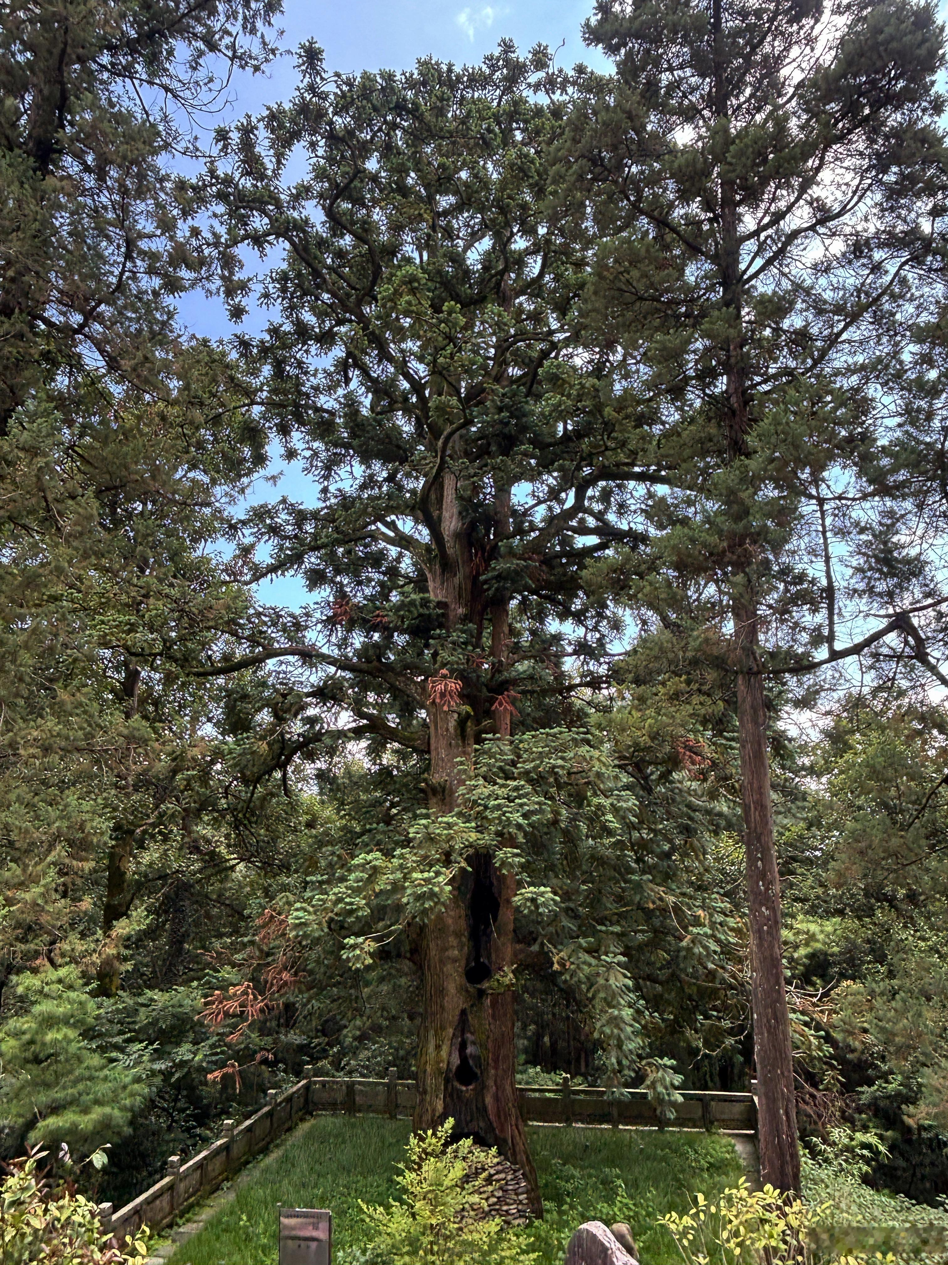 大自然里呼吸一大口！🍄🐿️​
