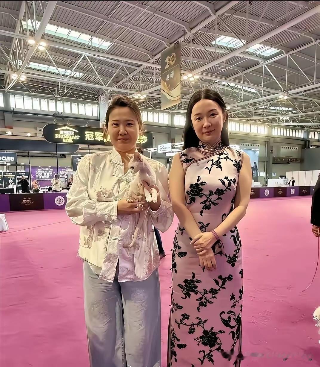 完全认不出来这是霍思燕了