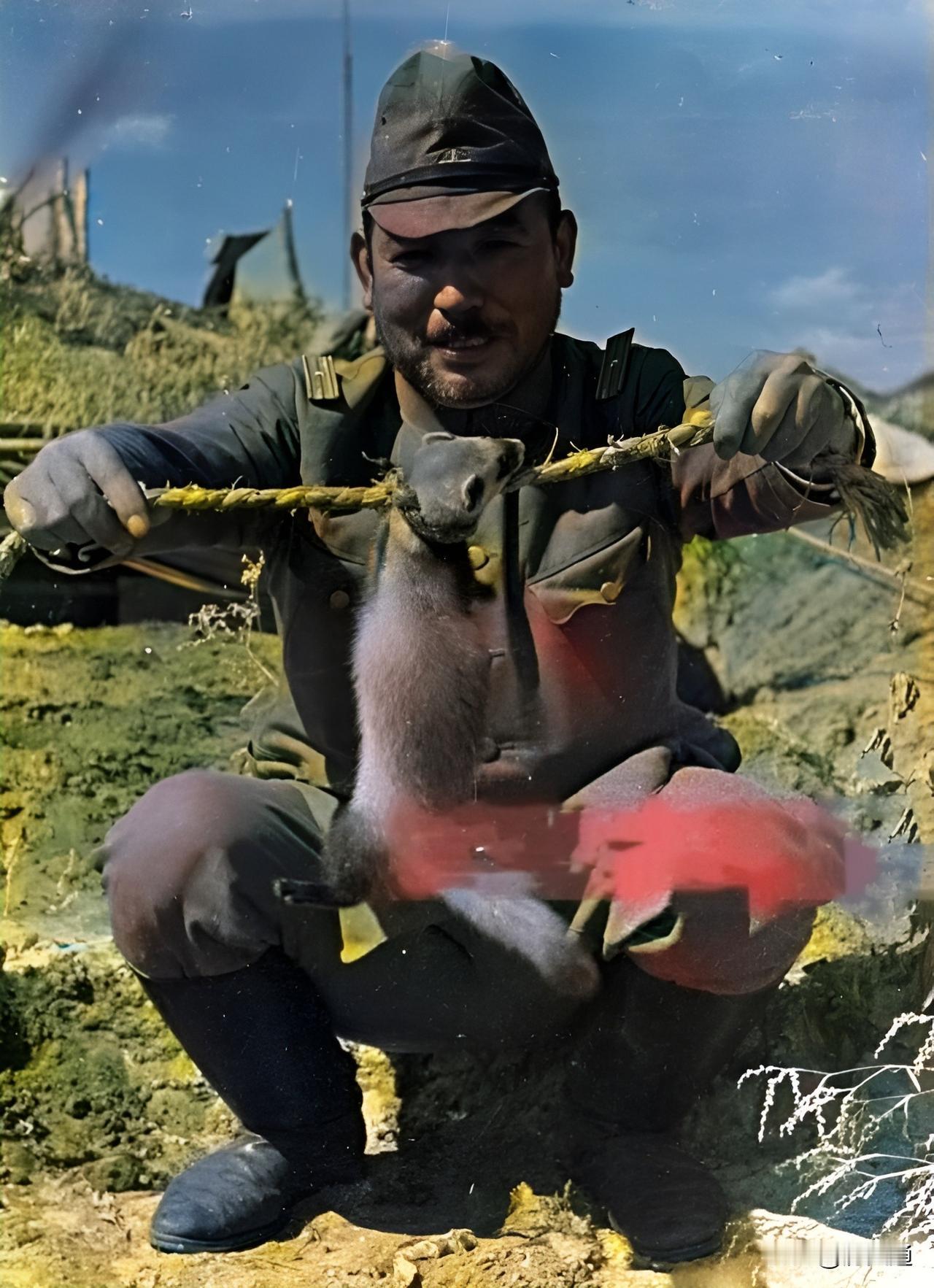 抗战中，一名日军少尉在战场上捉了一只黄鼠狼。他残酷的野性很快爆发。随后，他用一根