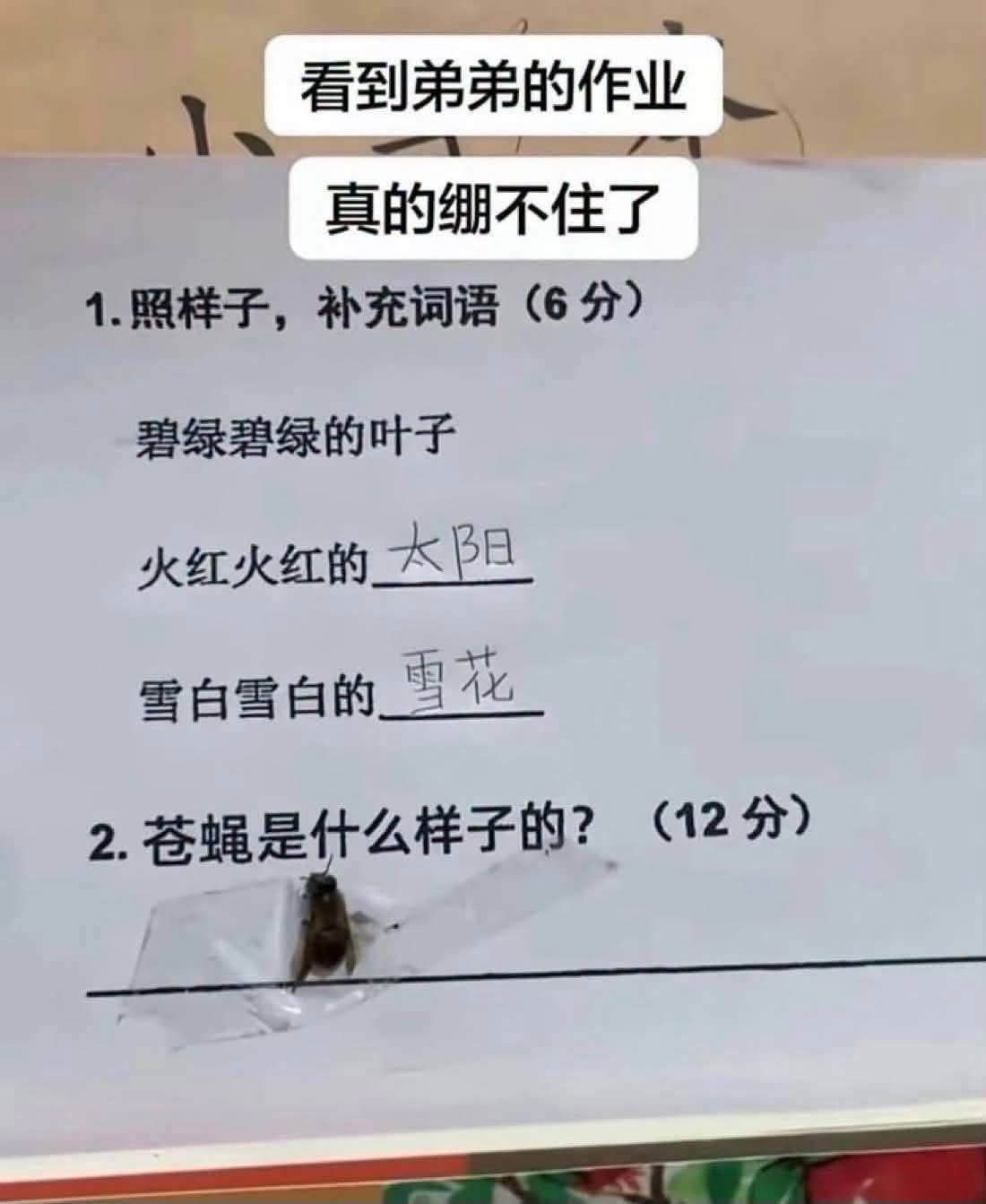 行动派