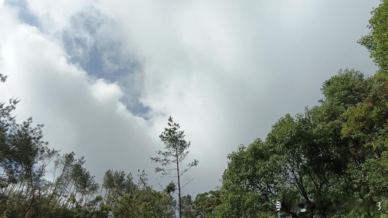 37种中药饮片不管单方还是复方使用，医保基金都不予支付，阿胶，河马，西洋参在列我