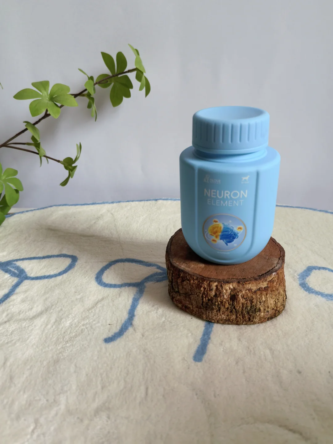 初老泰迪神经养护｜早干预早安心