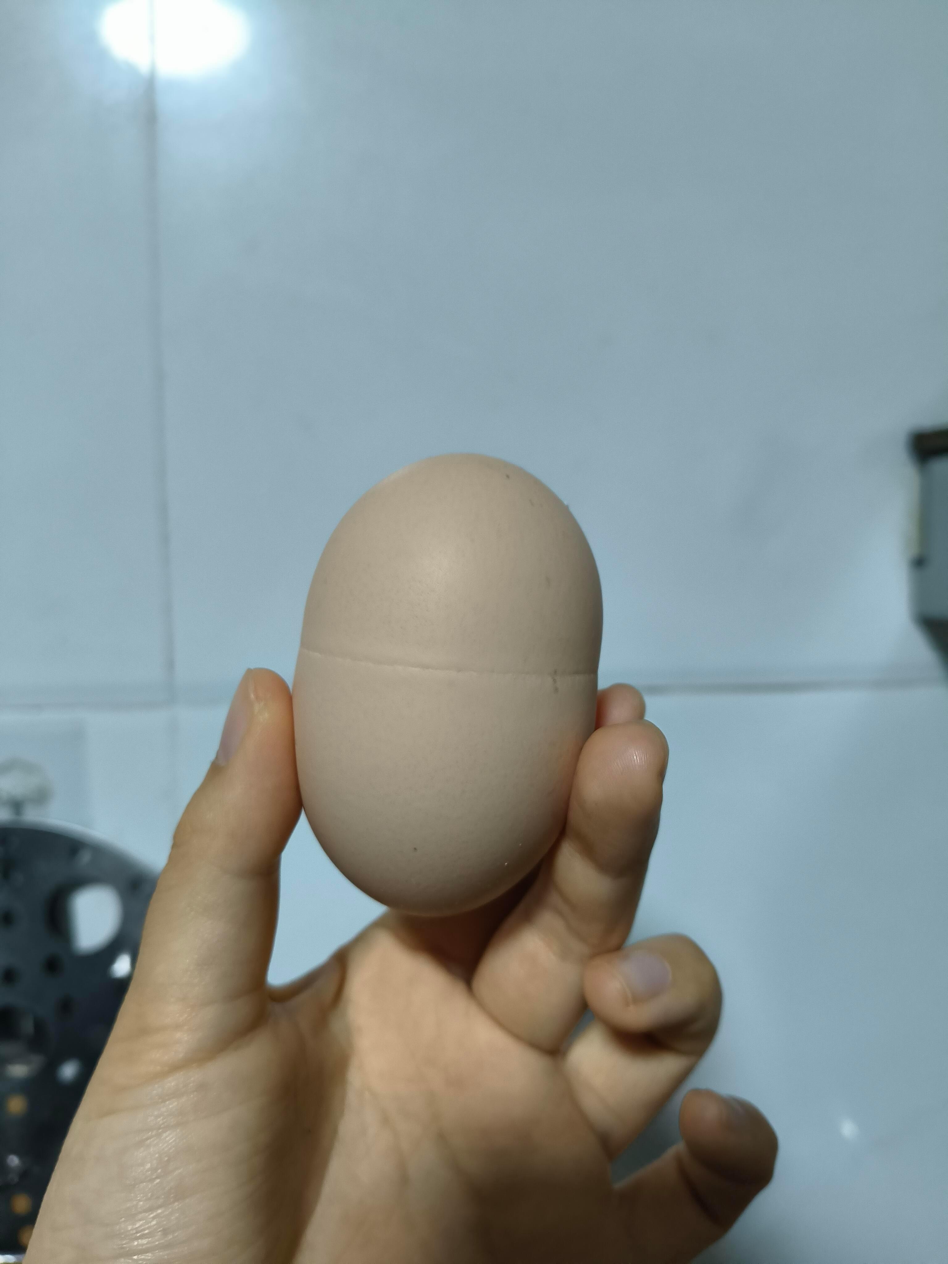 奶奶家的鸡下的蛋上有个缝合线