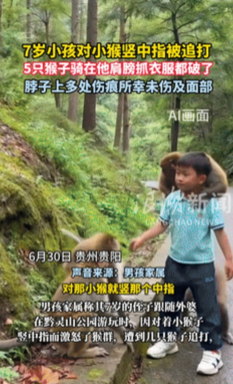 一点也不冤！7岁男孩被家人带去看猴子，男孩多次对着小猴子竖中指，不料小猴子叫来全