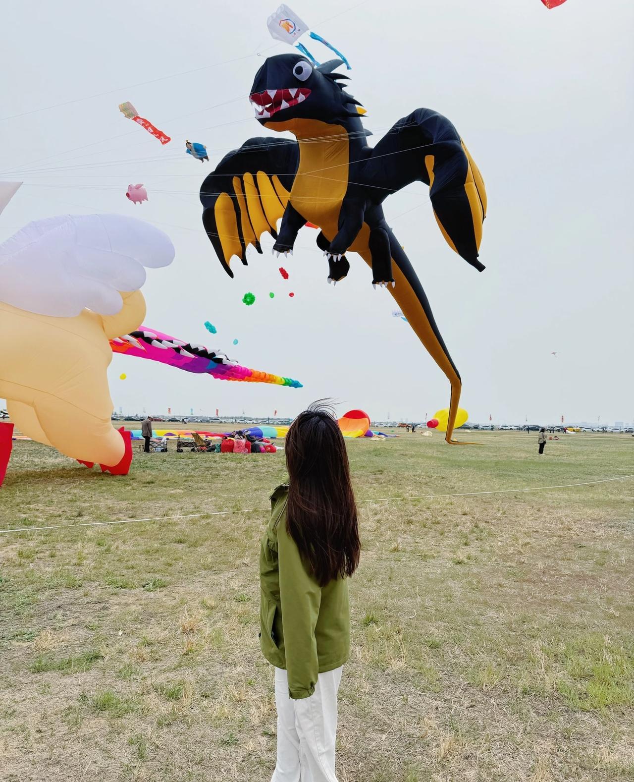 潍坊的风筝也是越来越抽象了。春天来了，风也来了，潍坊的上空也热闹起来了。越是