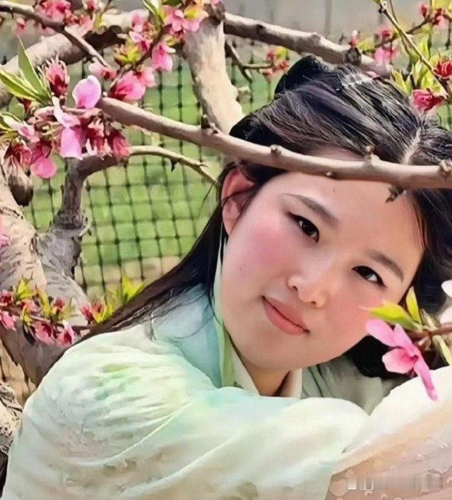 上天给了你一张长得像刘亦菲的脸，你却没抓住机会减肥