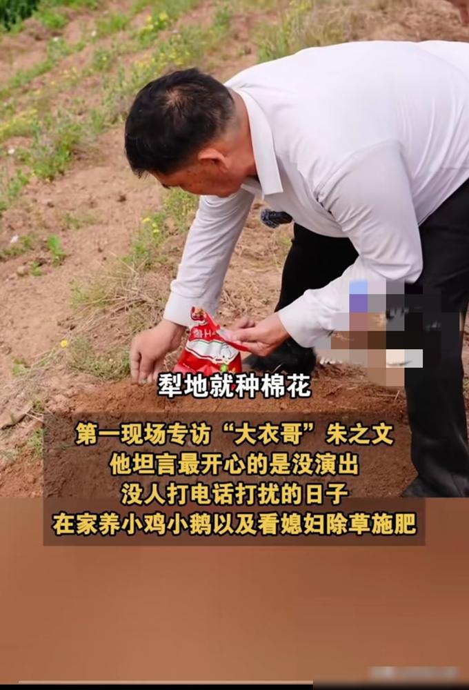 别再可怜朱之文了，他才是那个最顶级的操盘手。他死守朱楼村，不是蠢，是精。那些