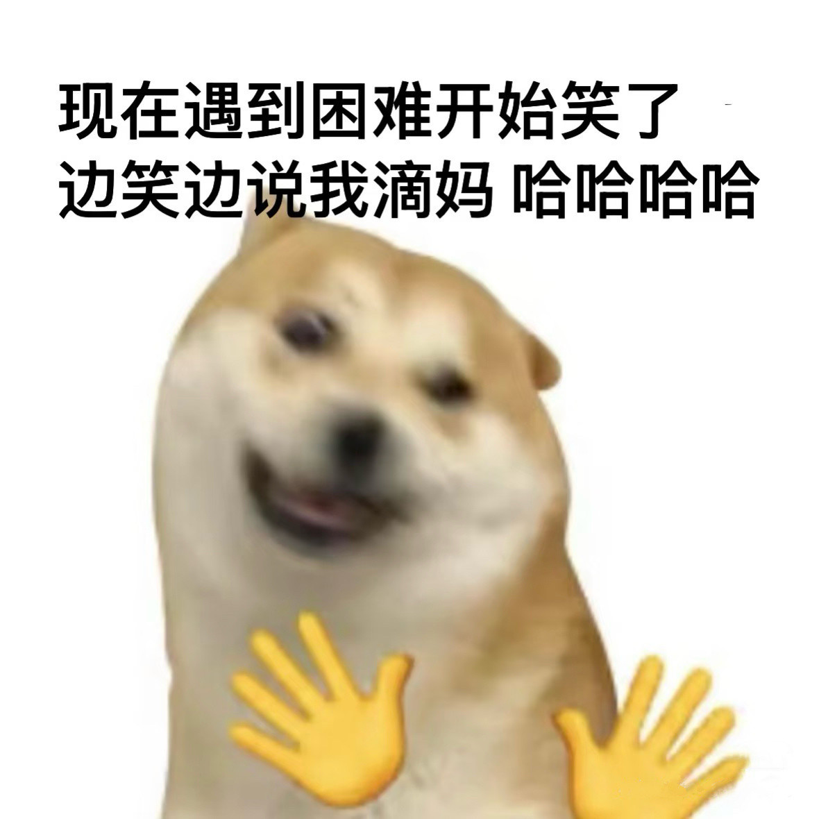 生活就像一把刀插进我的胳肢窝里，有点疼还有点想笑