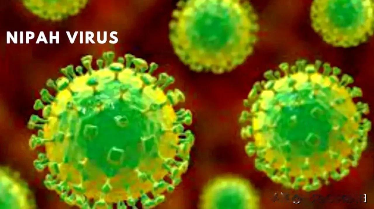 中国企业圣湘生物研发的尼帕病毒核酸检测试剂盒（荧光PCR法）已准备上市销售，该试