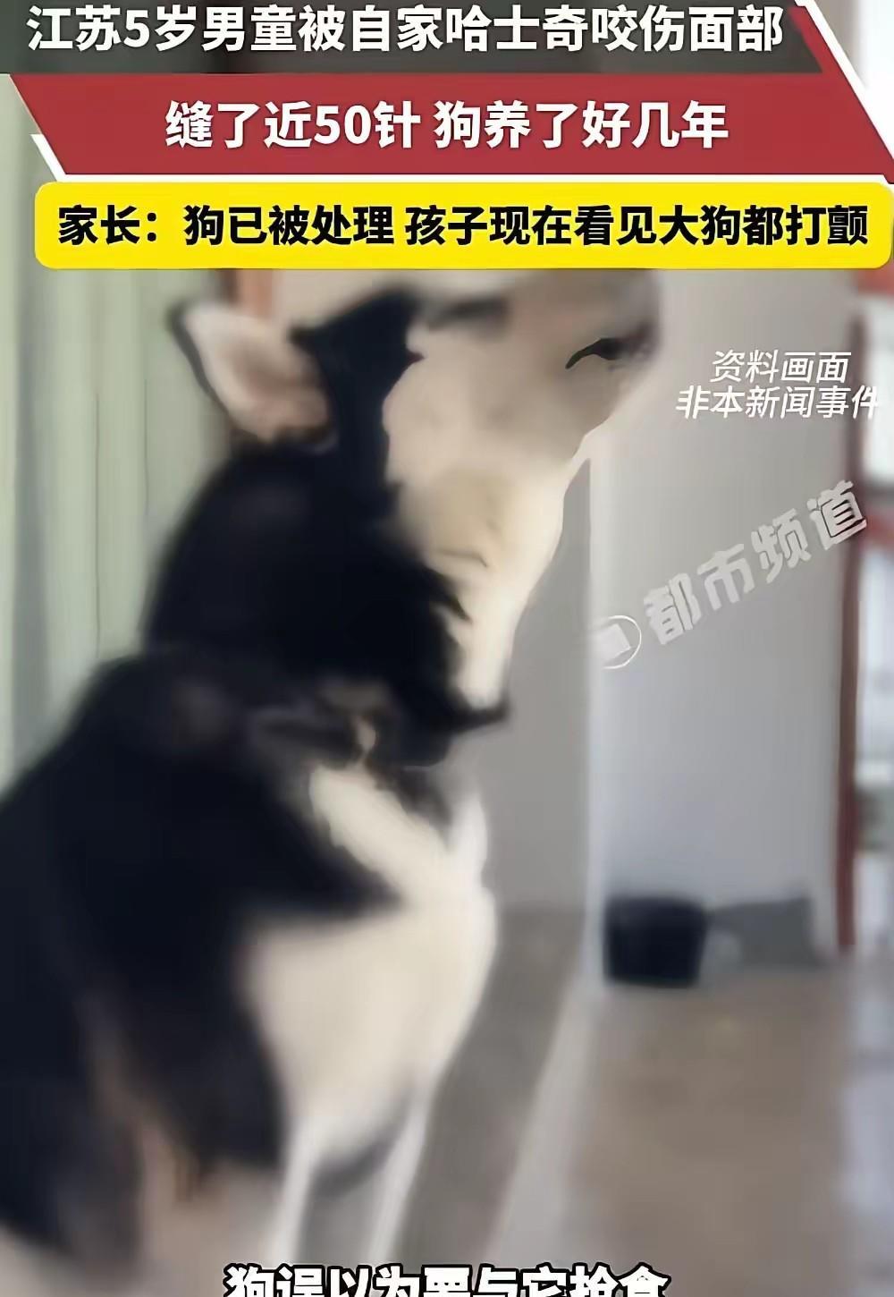 这下养狗的都被干沉默了！徐州5岁男童被自家哈士奇咬伤：50针背后，到底该怪谁！