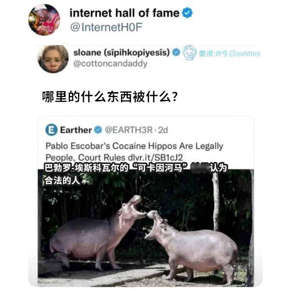 我是（9gag）哎呀​​​