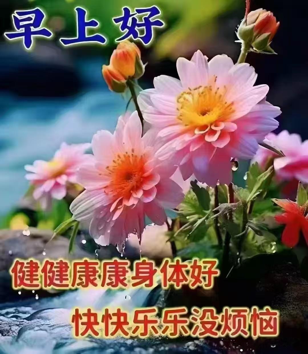 静待时光，如茶在杯中舒展。不慌不忙，看云卷云舒，听风过林梢。心若安然，岁月便温柔