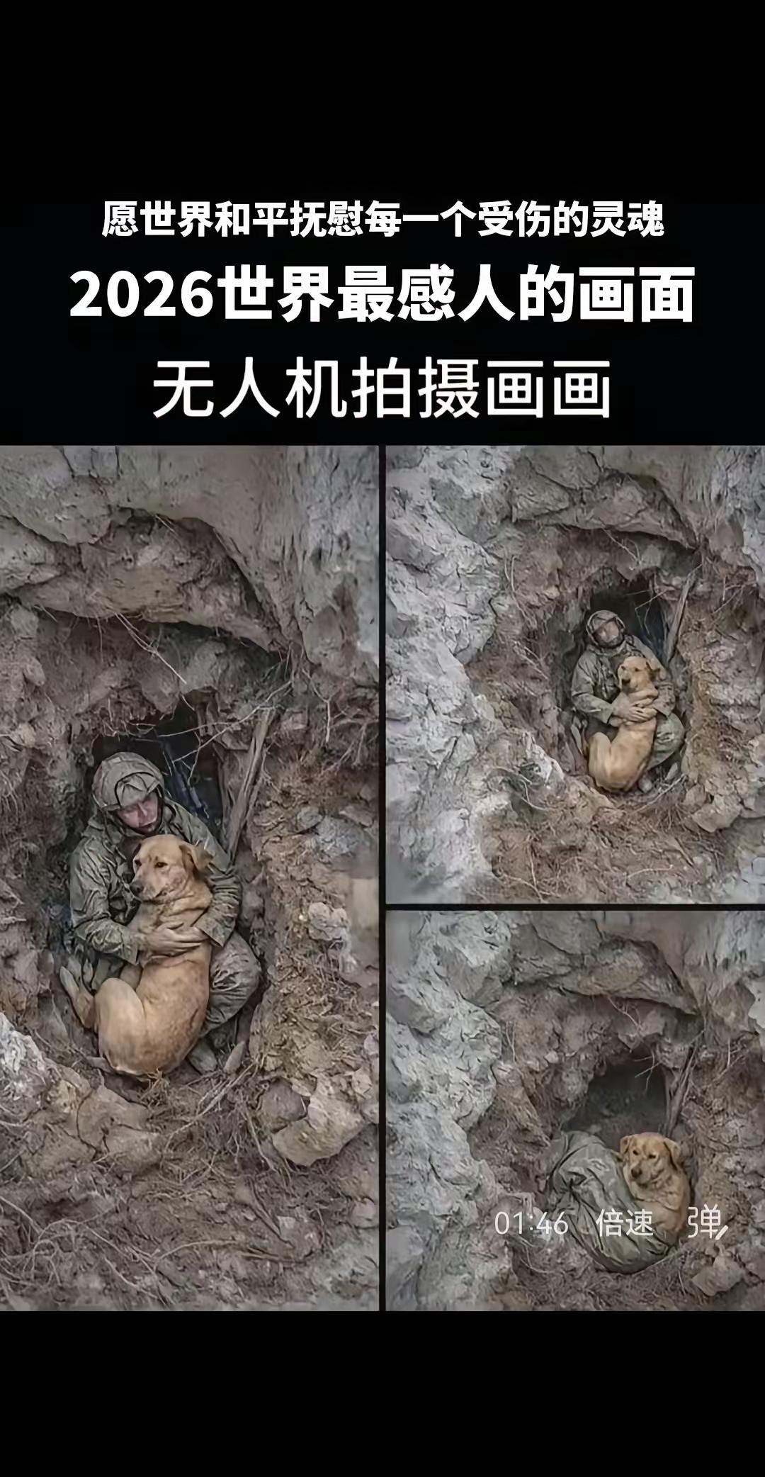 生命到了尽头，有个陪伴也是一种幸福