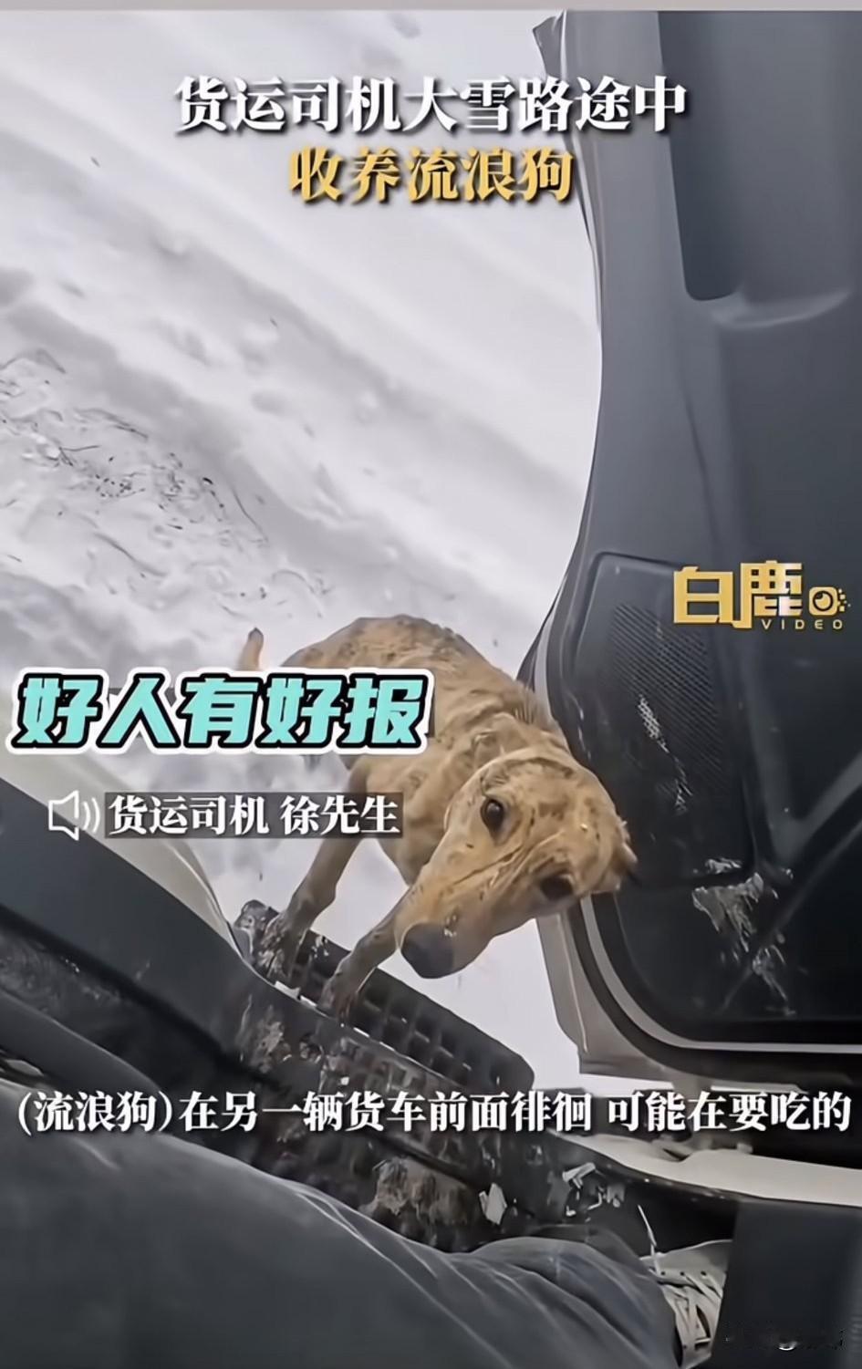 泪目了！一位货车司机大哥开着打车行驶在无边无际的雪地上，他开着开着有些累，于是就