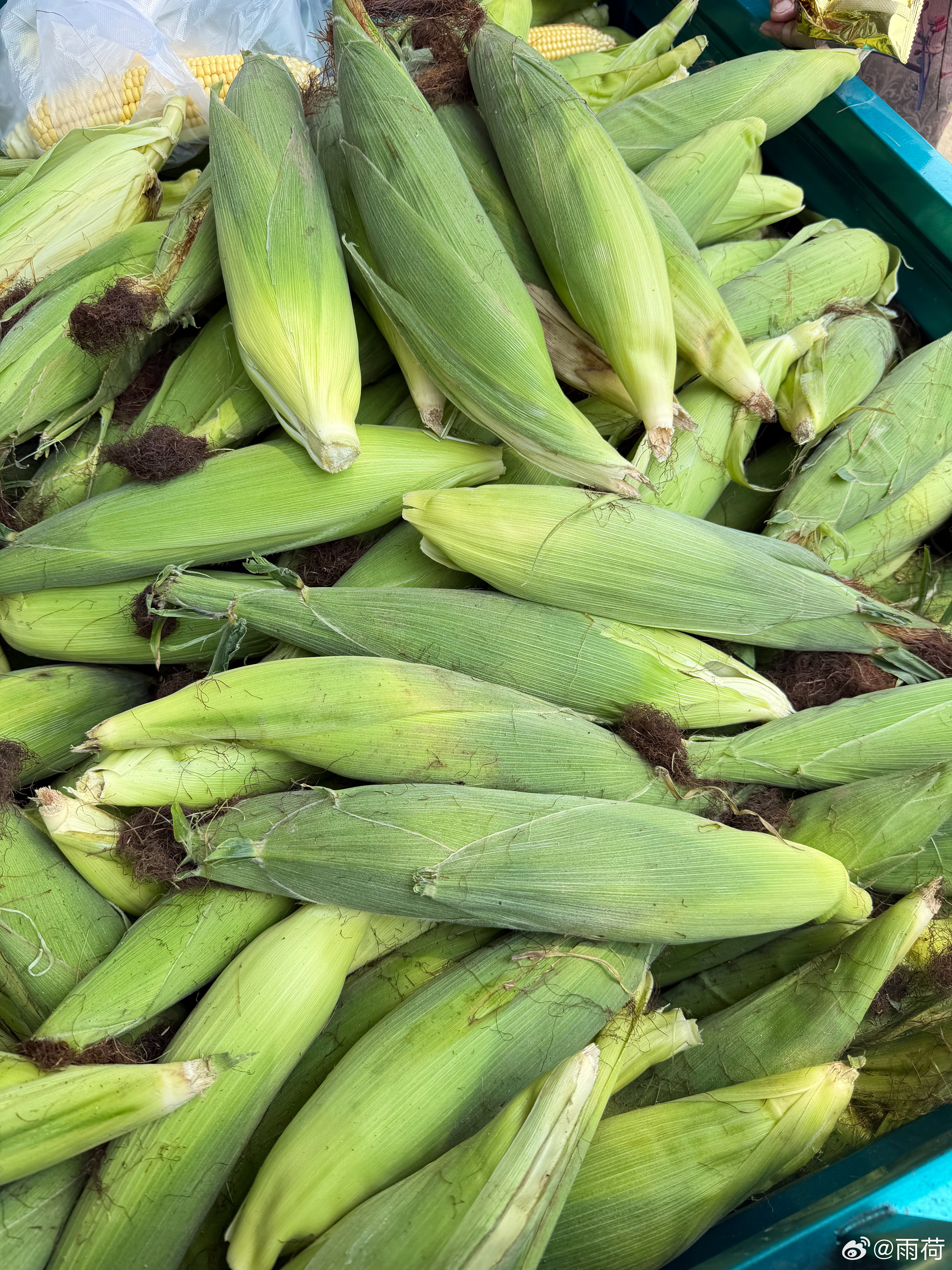 猪肉八块一斤，玉米10块钱15个。这物价好像回到很多年前了，看着拉玉米的大哥，忽