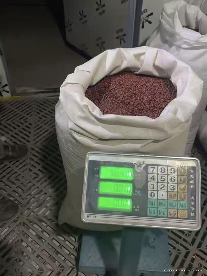 陕西渭南，一药材商接到2.5吨酸枣仁的大单，凑齐货物后收到73万货款。次日去收取