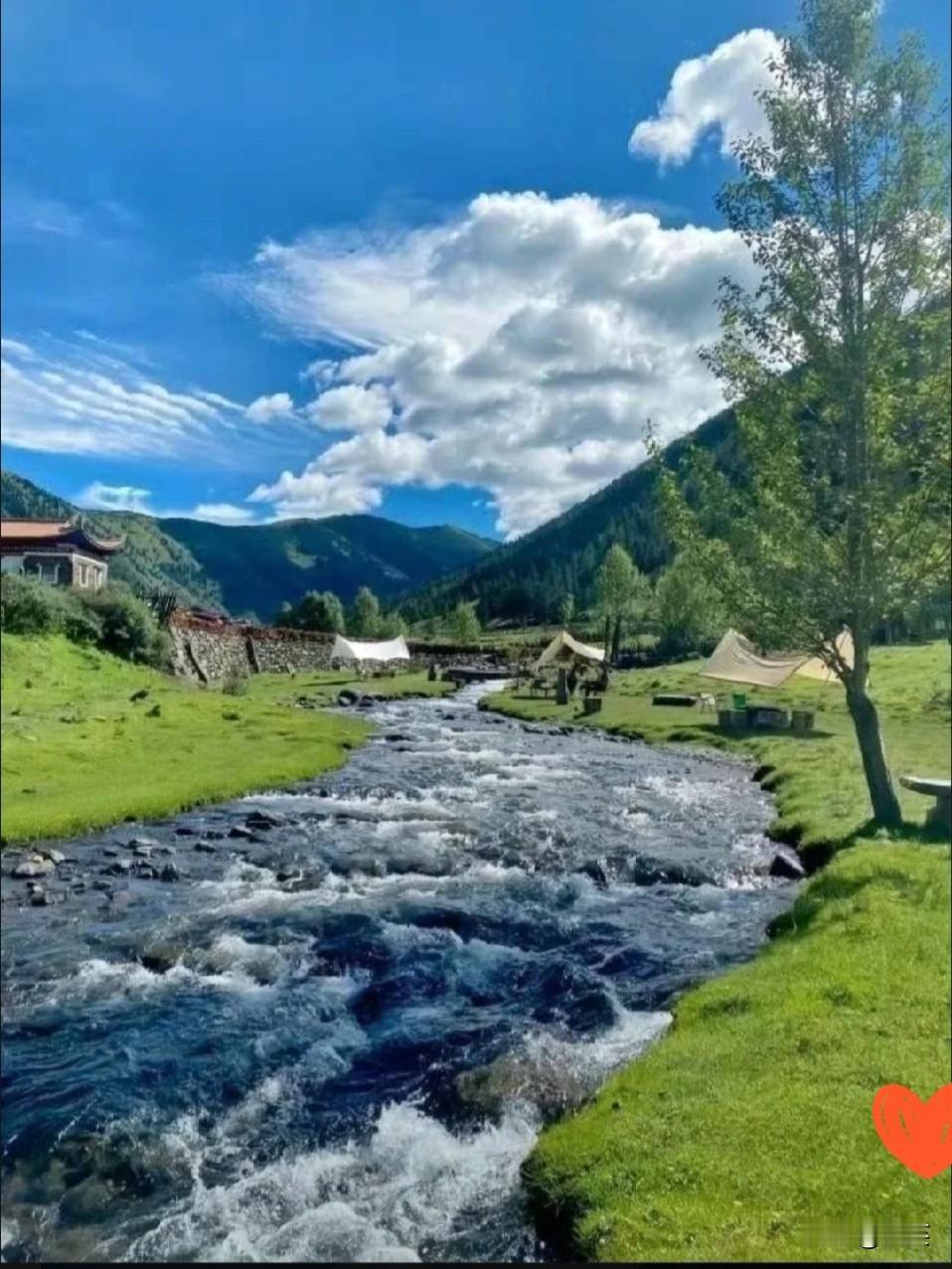 我是住家保姆，主人吃饭我从不上桌，但我不在厨房吃，也不在我自己房间吃，我不提前吃