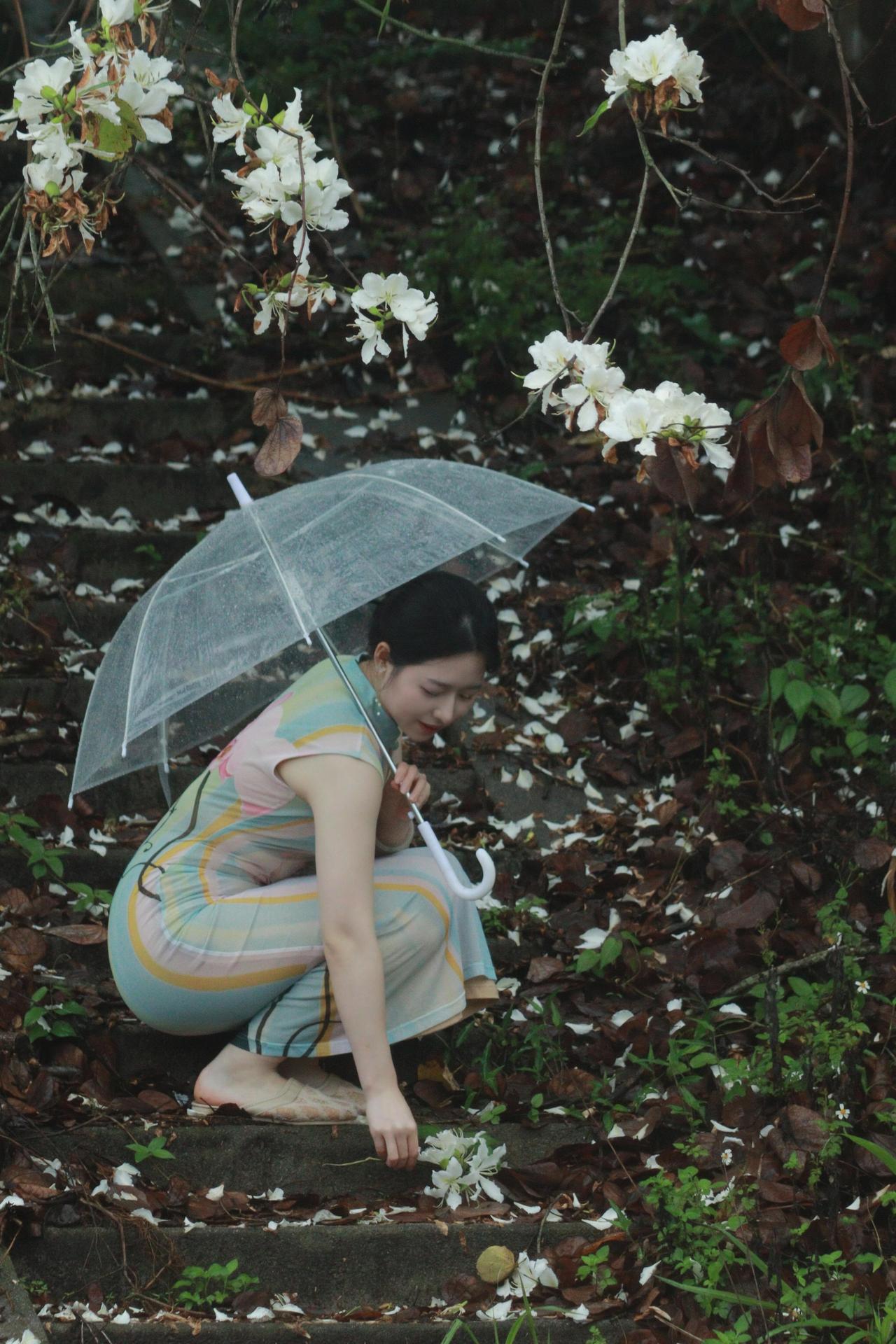 雨中漫步，花间寻觅，伞下静思。