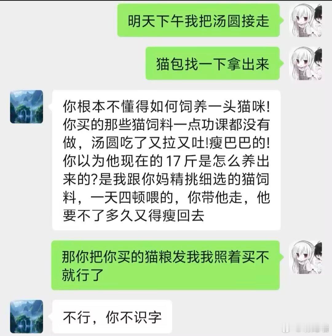 精选父母养猫记录