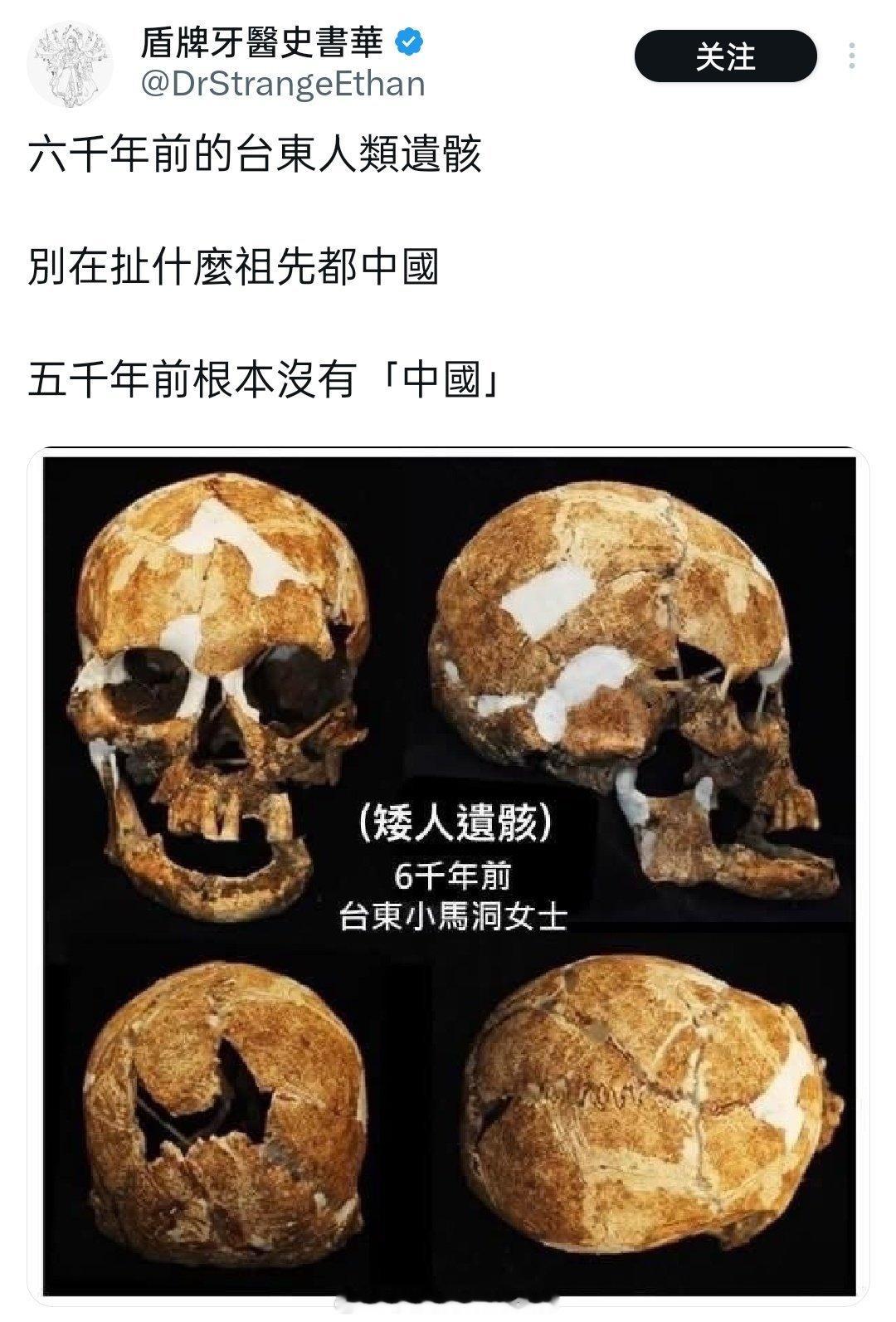 台蛙读书真的犯法蛙蛙傻事蛙蛙迷惑行为