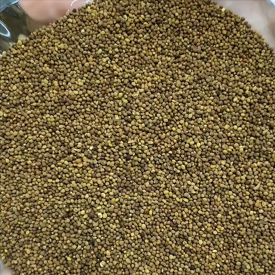 肾精越少，耳鸣越响，张仲景只用两味药，肾精足了，耳窍就通了有一种蝉鸣耳鸣，真的
