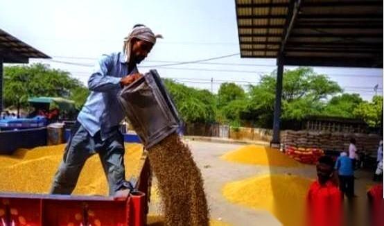 一个国家，一边是世界最大的大米出口国，一边是近两亿人吃不饱饭。儿童营养不良率，