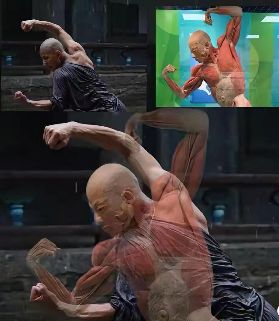 20岁人生才刚刚启航却这样骤然谢幕鲜活的生命变成展厅里的陈列品