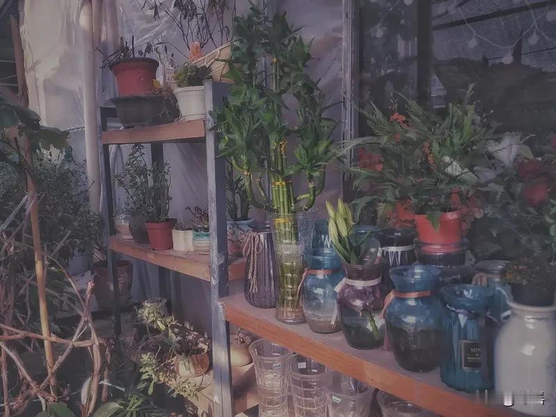 看到“勤勤恳恳种菜”上联我脑中立刻浮现下联“稳稳当当养花”种菜需勤勤恳恳新