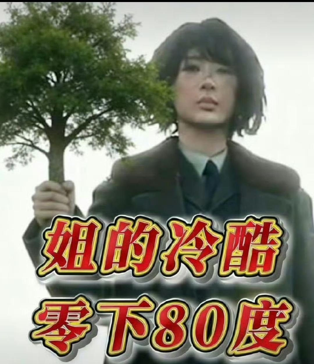 杨紫破天荒换角色头像！零下80度冷酷女警藏着多少狠活？谁懂啊！“头像钉子户