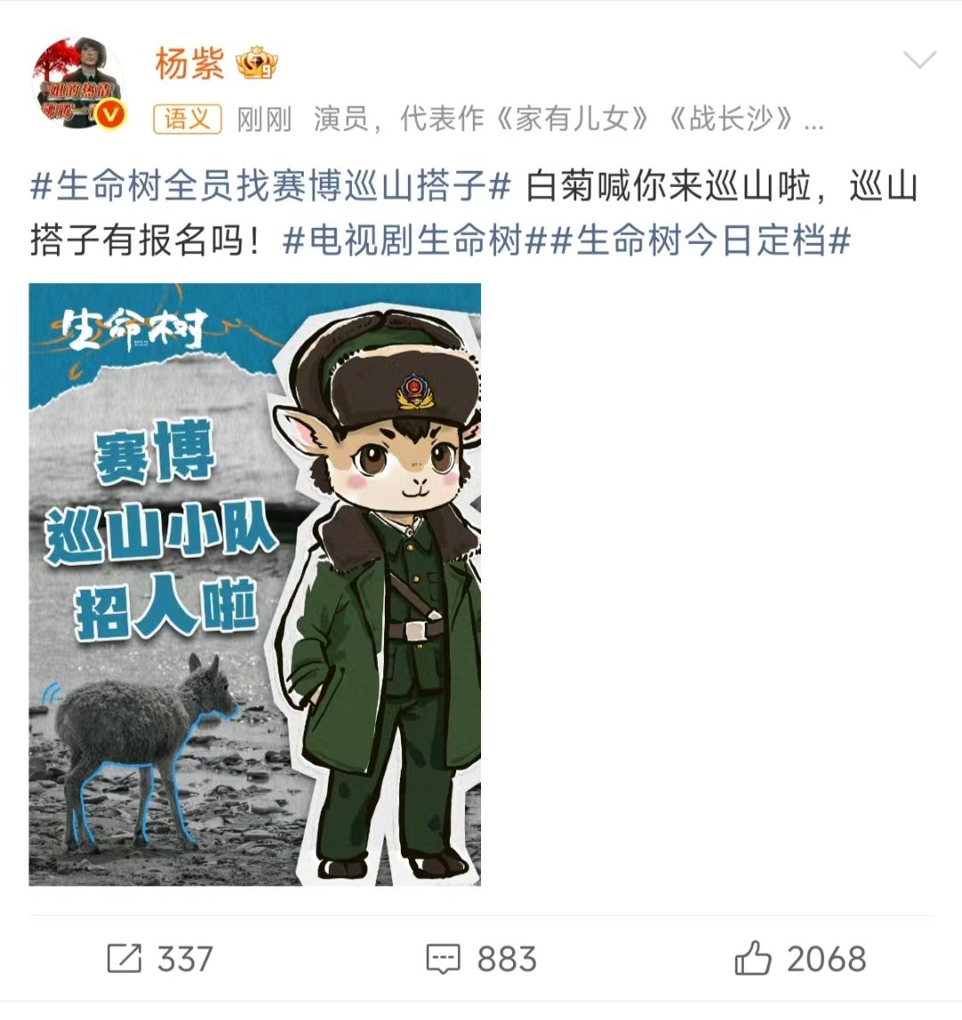 白菊喊你来巡山啦杨紫在线找巡山搭子杨紫在线找巡山搭子