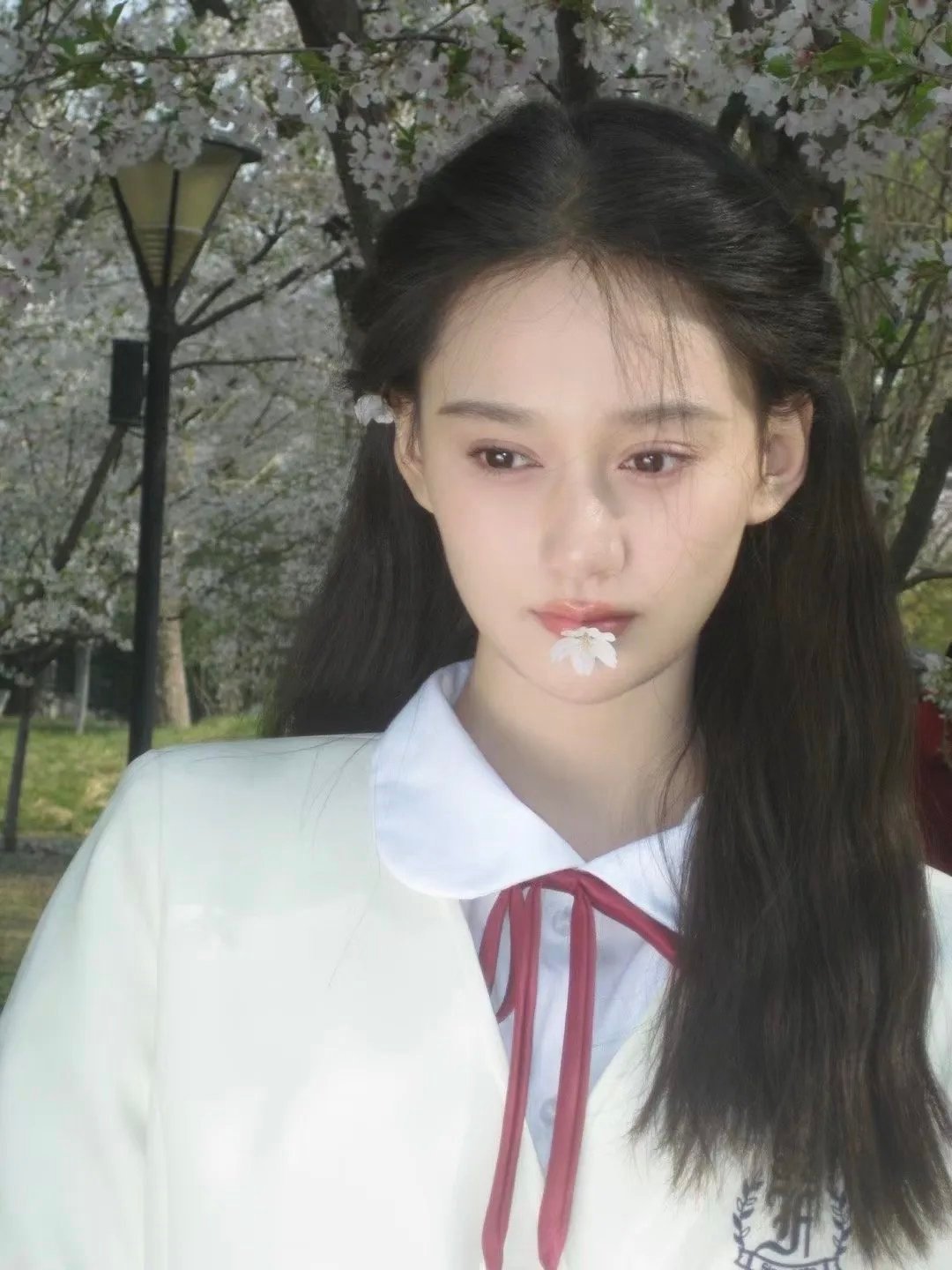 内娱女明星头像｜夏梦｜00后小花头像｜气质头像