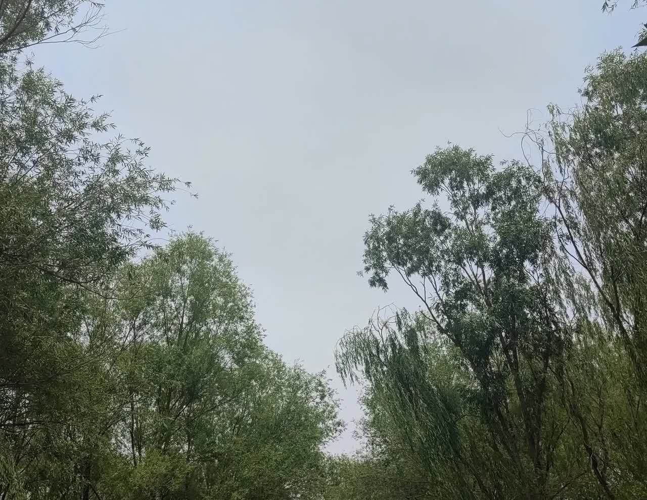 今天真是很生气，借头条宣泄下心情。一亲戚家孩子高考结束了，出于关心的目的，想知道