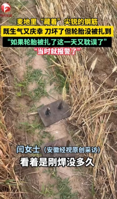 “心坏透了！”河北临漳，一女子正驾驶收割机在田里割麦子，突然听到“咔嚓”一声，护