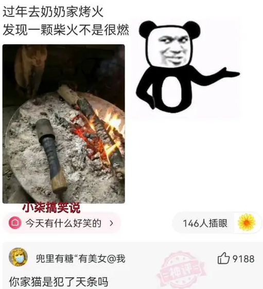 ，虽然关注点不一样，但你家猫是犯了天条嘛