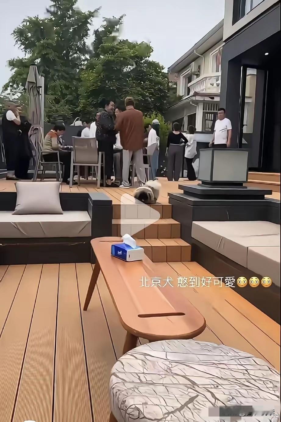 话说马筱梅消停消停吧不关注不知道一关注才发现她自从嫁给汪小菲后生活档次直