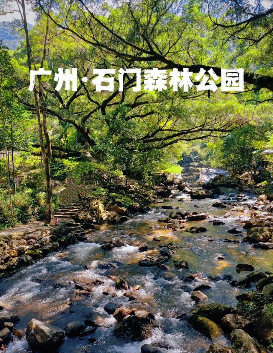 石门国家森林公园坐落于广州市从化区东北部，森林覆盖率达98.9%，被誉为“北回归