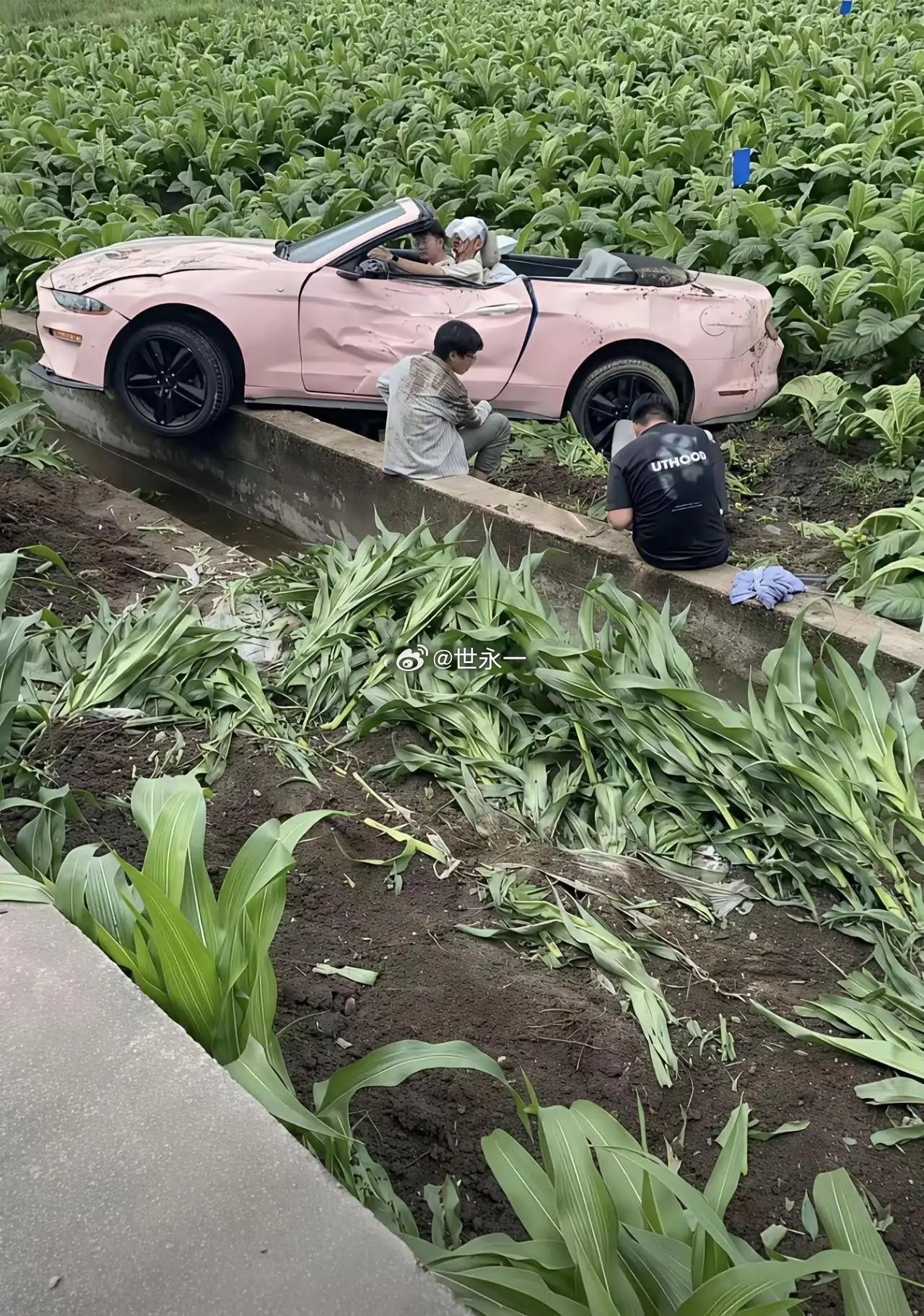 租车给他们的人，真是亏麻了！保险公司肯定不管了