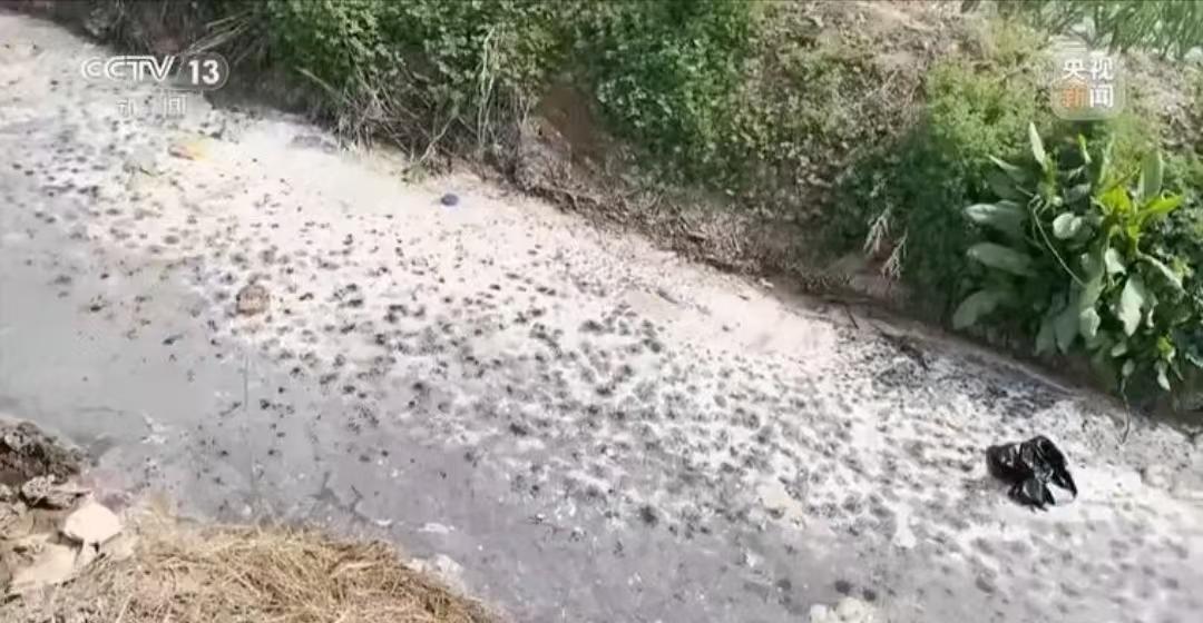 黑臭沟臭了三年，央视一拍就清了，这到底谁在等谁？那天看新闻说徐州那条臭水沟，