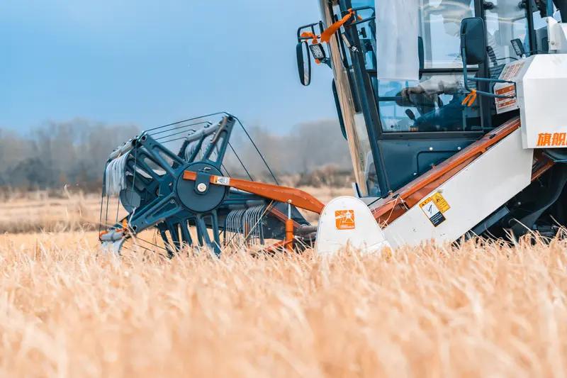 2025年11月6日，山西大同左云县冯家堡村发生了一起让人痛心的悲剧。36岁的男