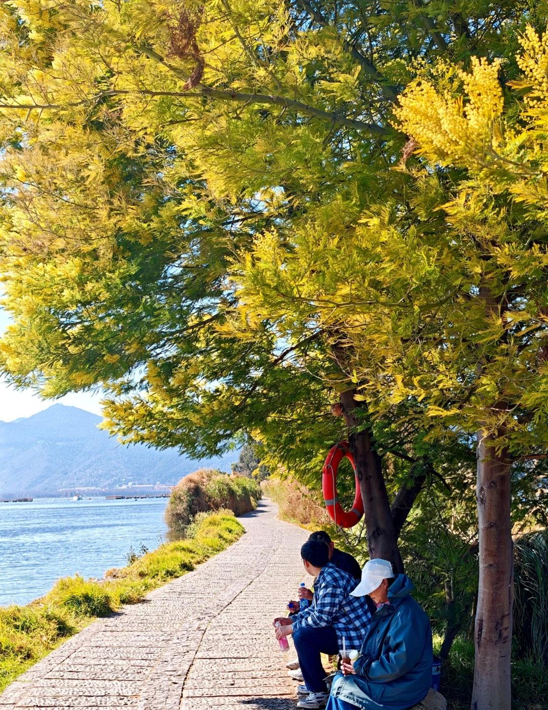 昆明超适合walk.的海边路线羡慕昆明人民，滇池周边的湿地公园真的太多了，沐浴