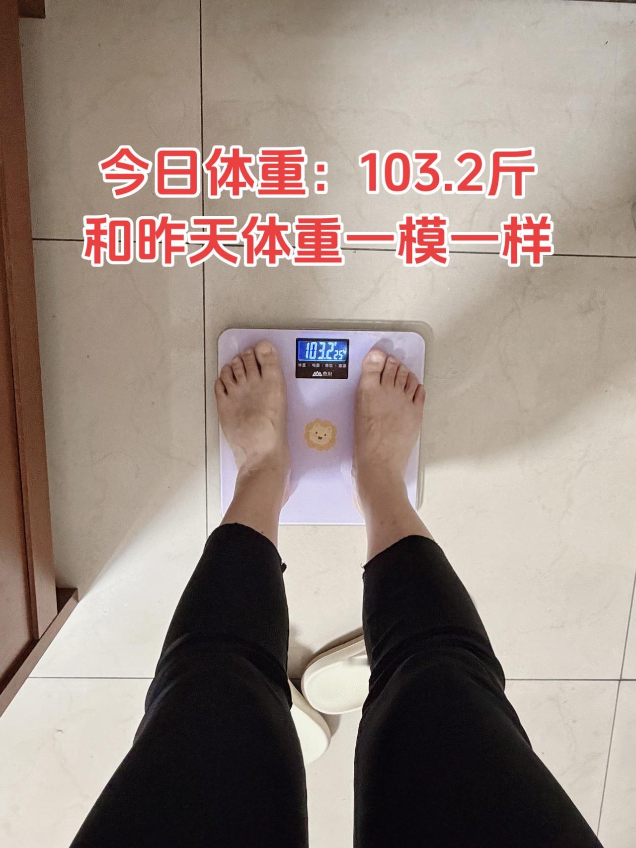 自律减脂健康餐，目标95斤，加油今日减脂早餐：玉米馒头+黄瓜+鸡蛋+豆浆